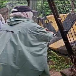 Viral Sekelompok Pria Masuk Hutan Kota Cawang Setiap Malam