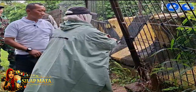 Viral Sekelompok Pria Masuk Hutan Kota Cawang Setiap Malam